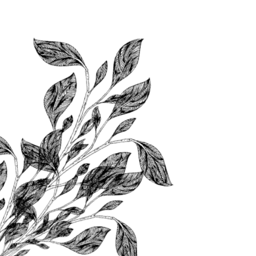 frame kiri bottom